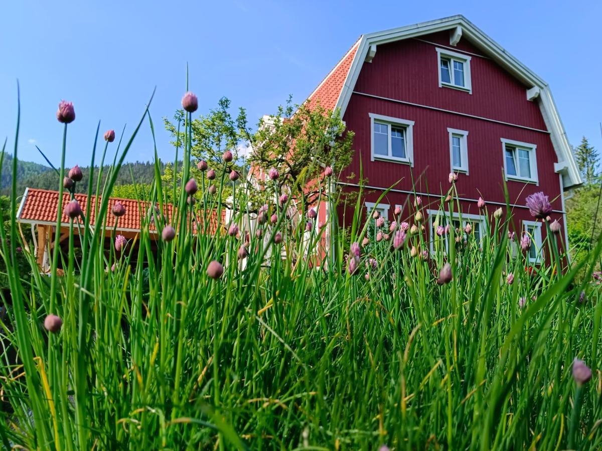 Haus Gruenfels Apartment Murau